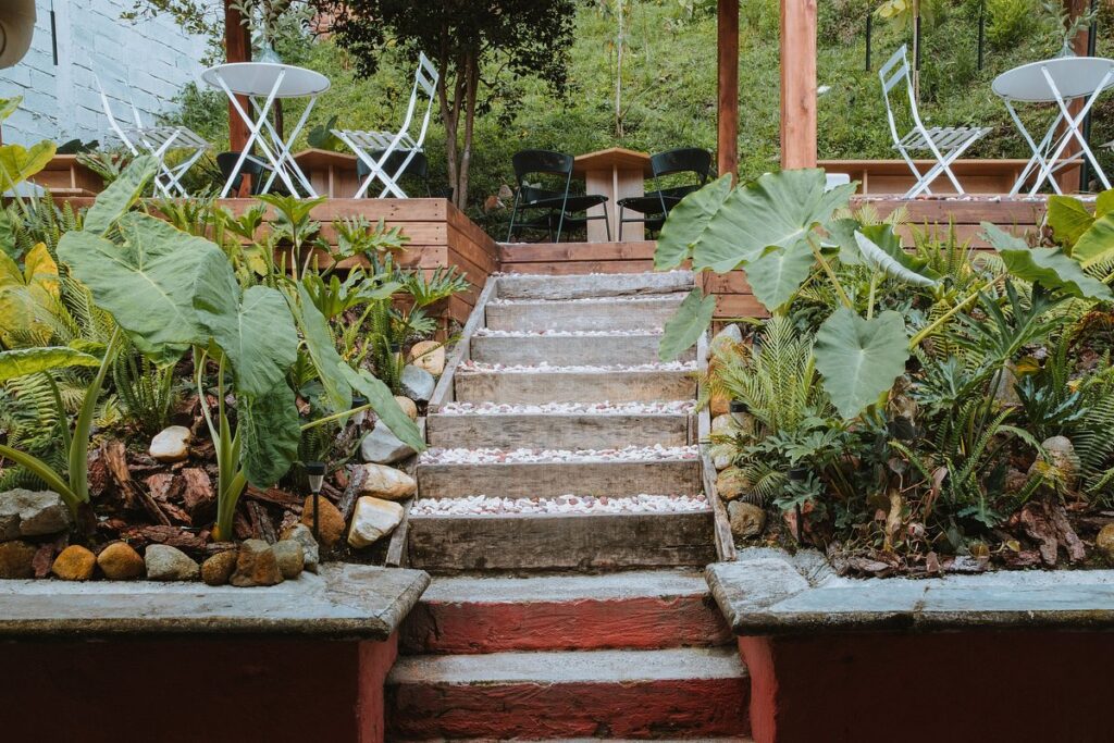 Casa de la leona
